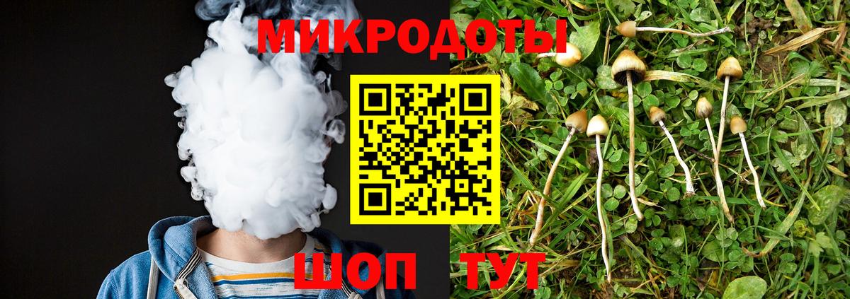 Псилоцибиновые грибы MAGIC MUSHROOMS  Псилоцибиновые грибы GOLDEN TEACHER  Горно-Алтайск  Вход с VPN 